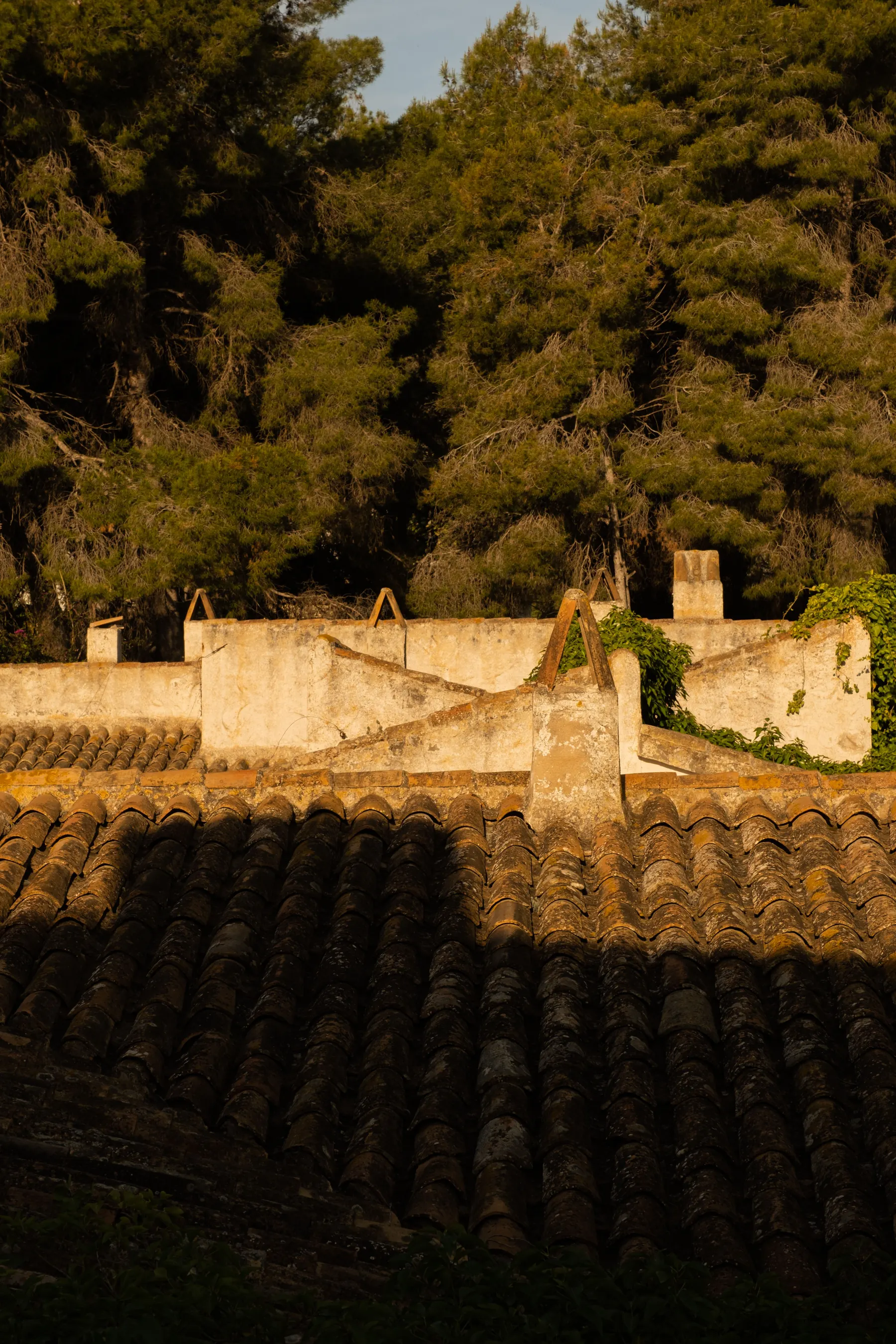 Casa Tosalet — old tiled roofs and lime-washed chimneys in evening light, with pines behind