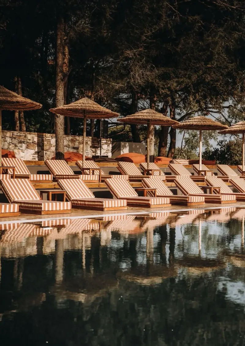 Mood image: rows of loungers and parasols reflected in a pool among pines